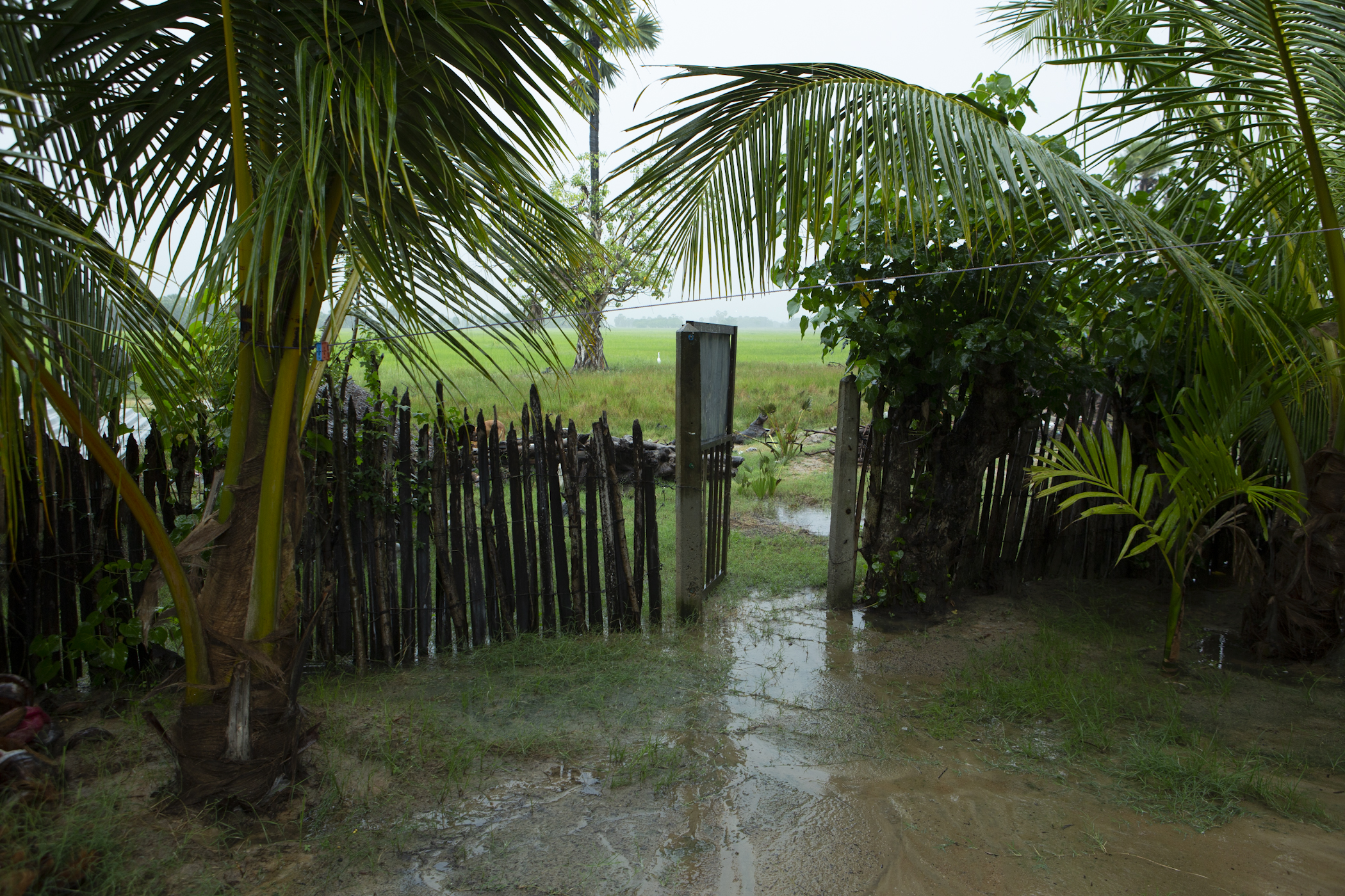 Oversvømmelse i Sri Lanka
